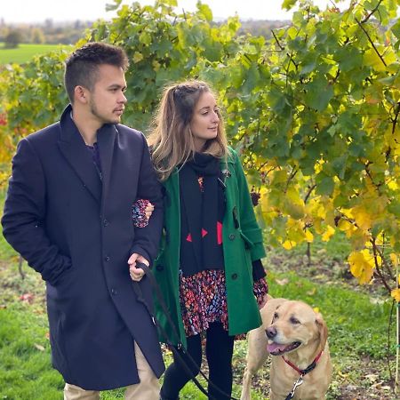 Hencote Vineyard Glamping Village Shrewsbury Ngoại thất bức ảnh