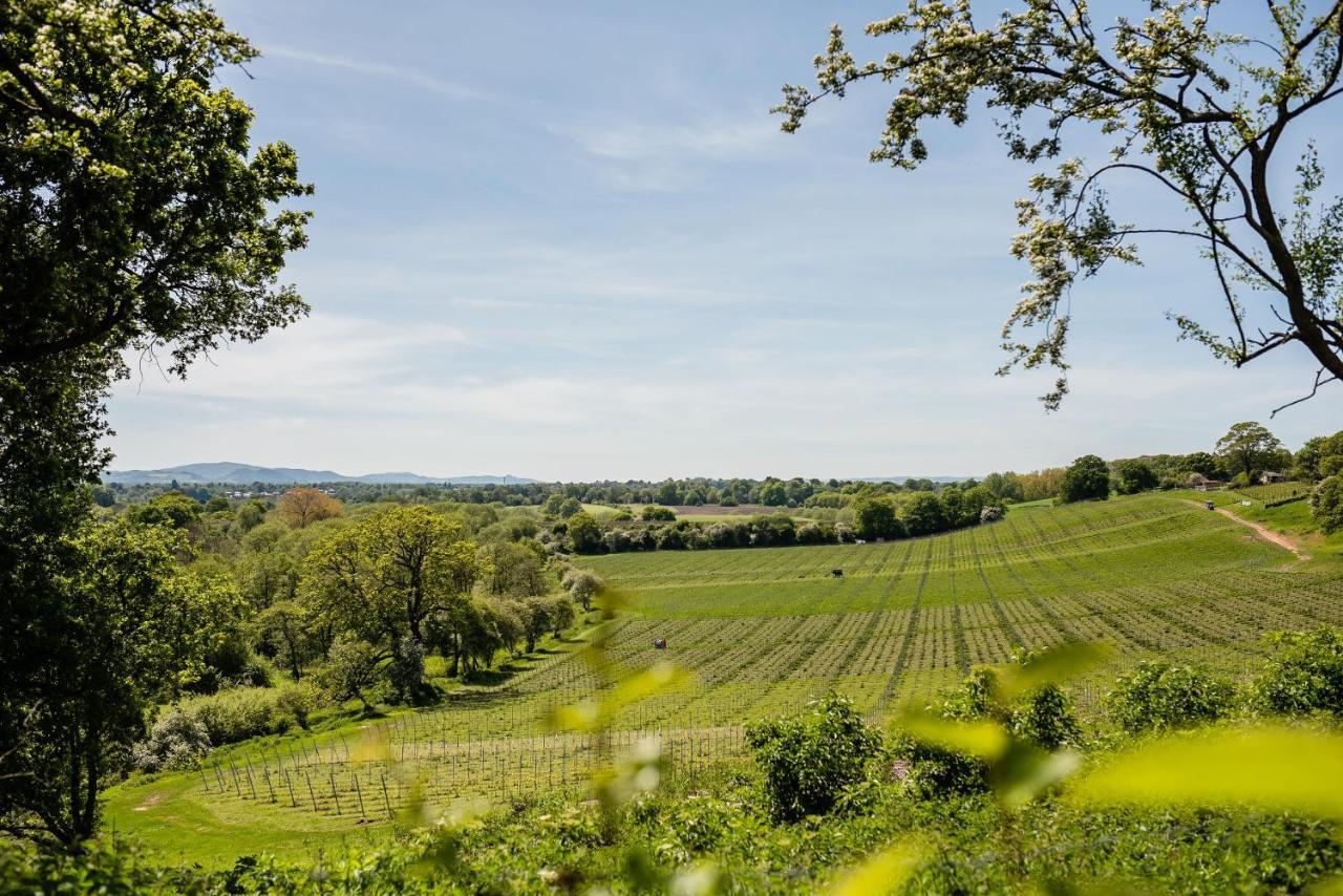 Hencote Vineyard Glamping Village Shrewsbury Ngoại thất bức ảnh