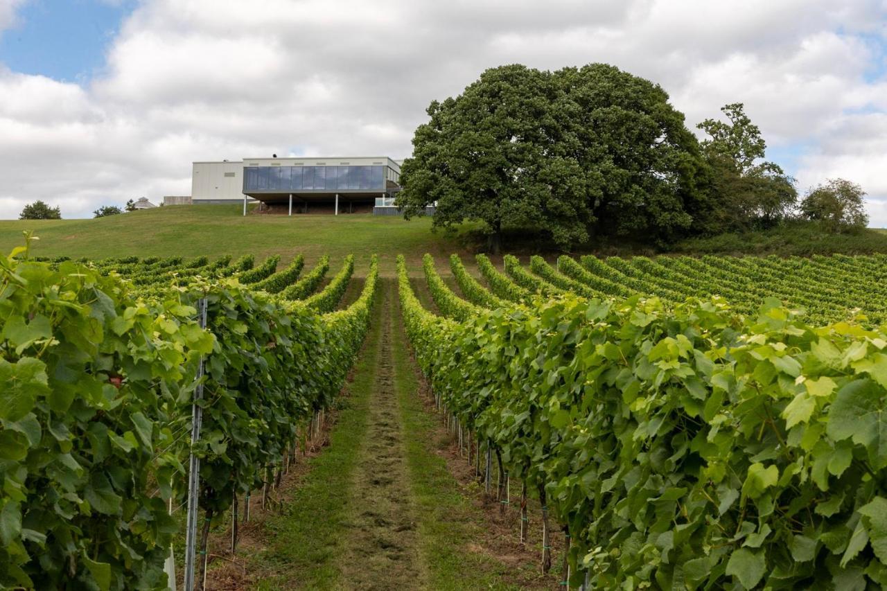 Hencote Vineyard Glamping Village Shrewsbury Ngoại thất bức ảnh