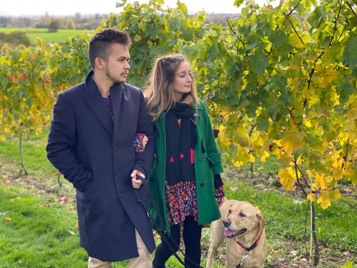 Hencote Vineyard Glamping Village Shrewsbury Ngoại thất bức ảnh